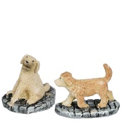 Luville - Golden Retriever Pups - Set van 2 - Nu Voorverkoop