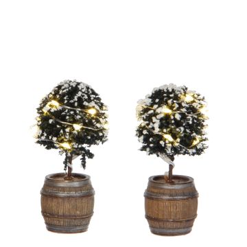 Luville - Buxus Tree in a Barrel - Set van 2