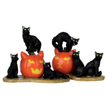 Spooky Town - Halloween Cat - Set van 2